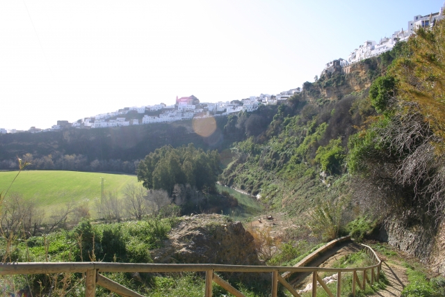 Birding Andalucia 